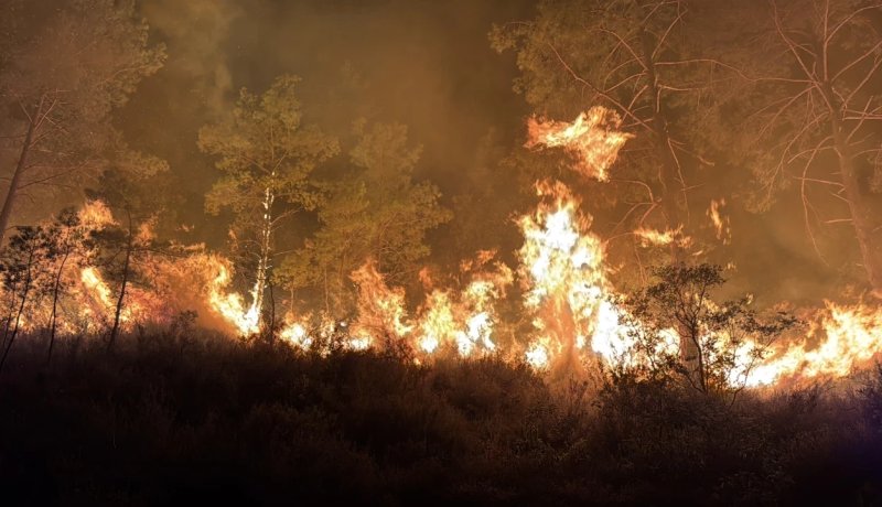Alanya'daki orman yangını Yaylakonak'a sıçradı