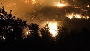 Son dakika: Alanya yangını tamamen kontrol altında