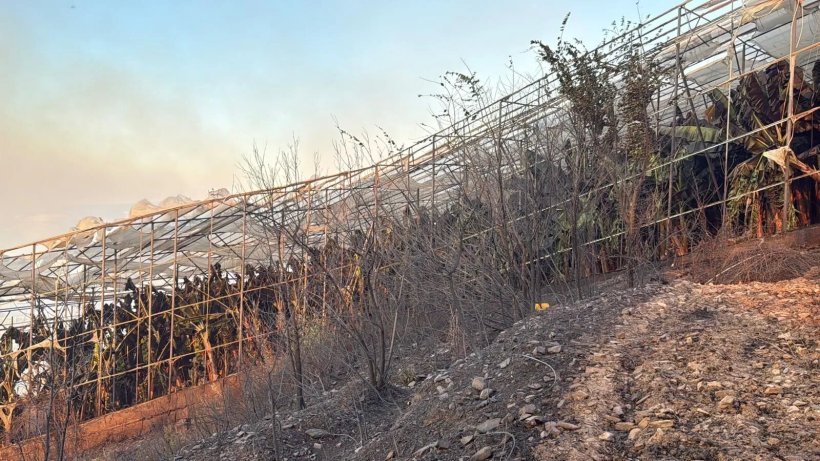 Son dakika: Alanya yangını tamamen kontrol altında