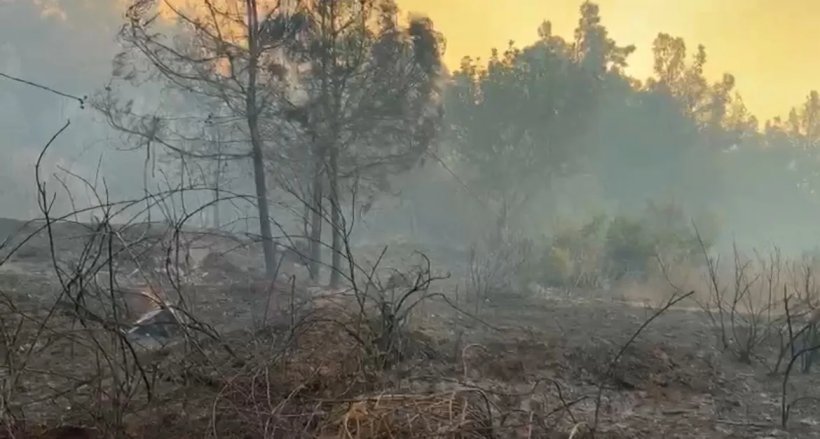 Son dakika: Alanya yangını tamamen kontrol altında