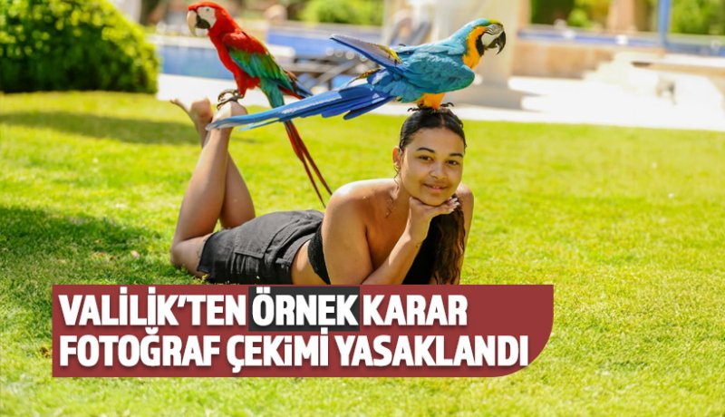 Papağan gibi hayvanlarla fotoğraf çekimi yasaklandı
