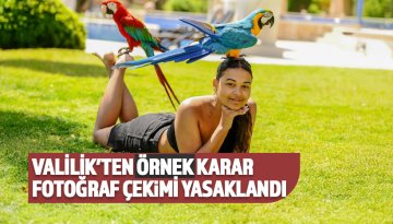 Papağan gibi hayvanlarla fotoğraf çekimi yasaklandı