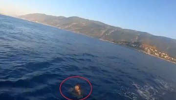 Antalya'da yüzerek Yunan Adasına kaçmaya çalışan firari yakalandı