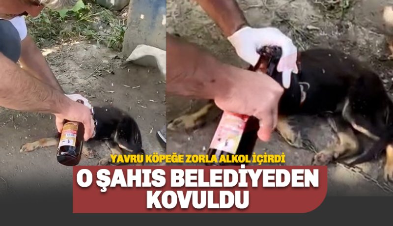 Alanya'da infiale neden olan olayda yeni gelişme: Kovuldu