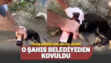 Alanya'da infiale neden olan olayda yeni gelişme: Kovuldu