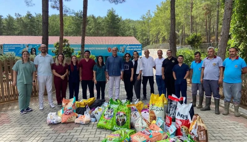 Alanya'da çağdaş hayvan barınağı hizmette