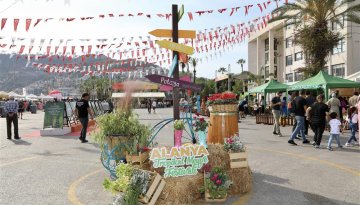 Alanya Tropik Meyve Festivali Başlıyor
