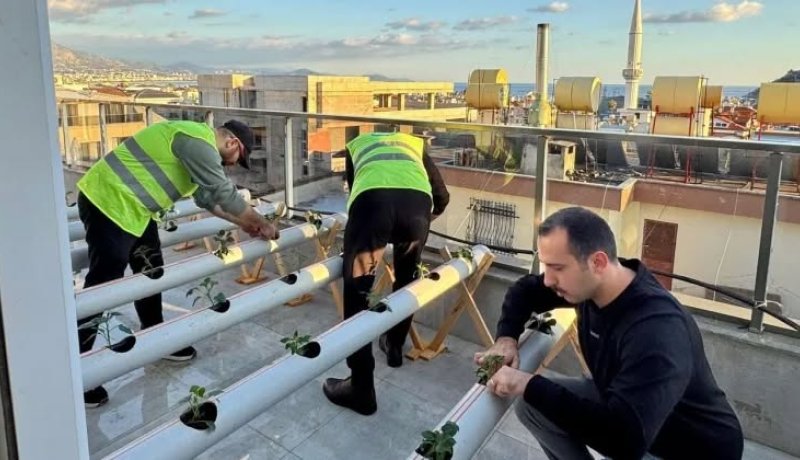Alanya Ülkü Ocakları Topraksız Tarım Projesi başlattı