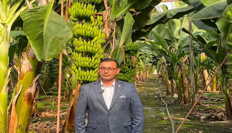 Alanya’da ithal muza vergi indirimine tepki yağdı